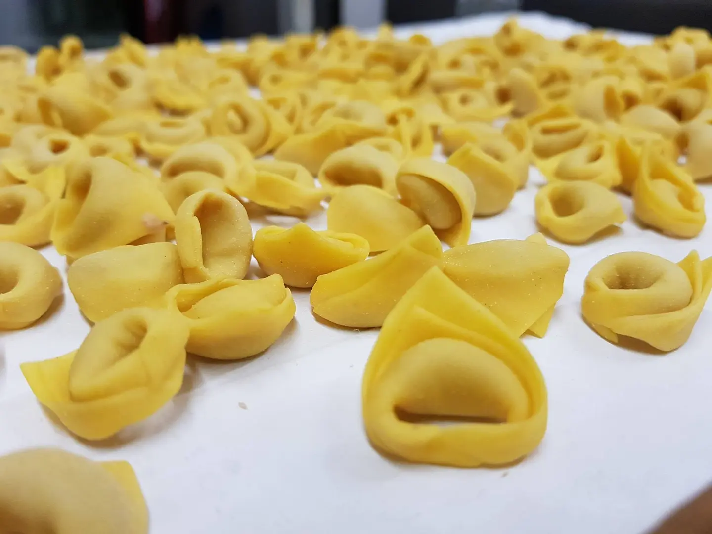 Tortellini artigianali freschi su un vassoio.